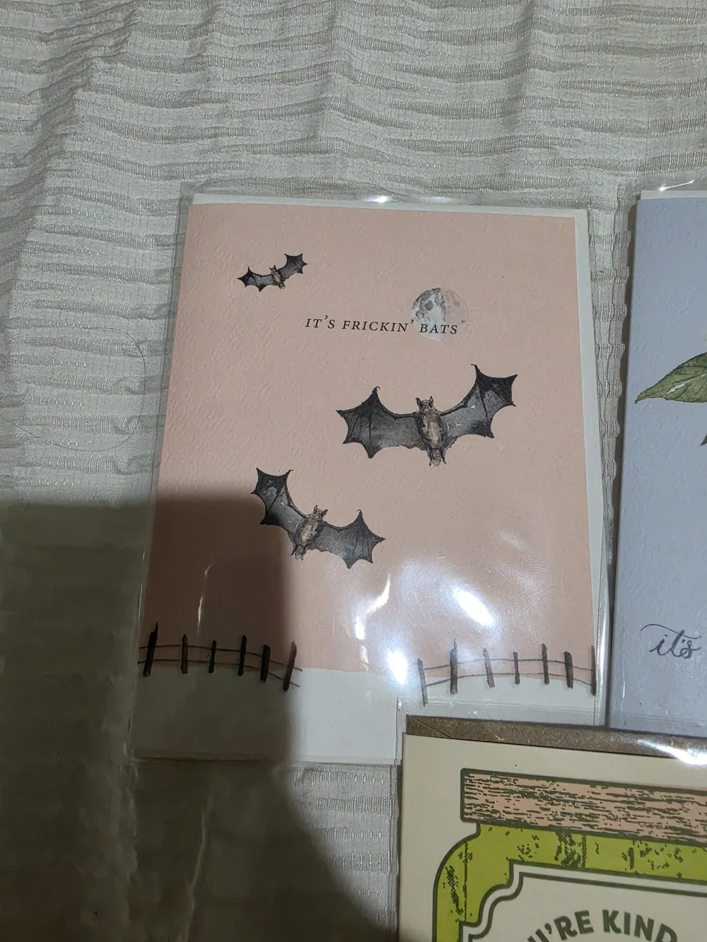 Assorted Greeting Card Trio - Pink Bat, Blue Berry, Green Pickle